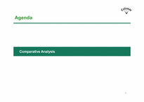 [경영전략] 골프용품 전문점 켈러웨이(Callaway) 마케팅 전략(영문) || 레포트 > 경제경영계열