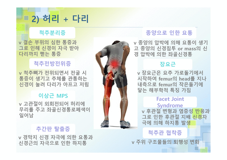 요통 - 통증 부위 통증의 유발 통증 양상 이학적 검사 - 의약학