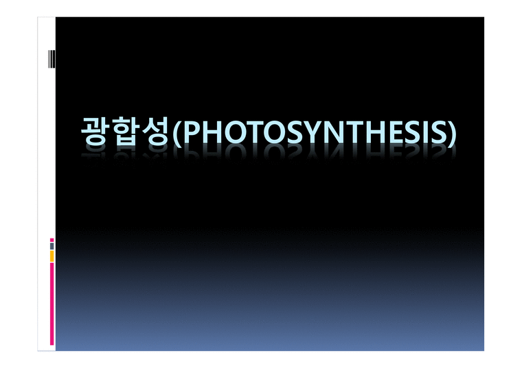 광합성(Photosynthesis) 정의  엽록체  명반응과 암반응-1페이지