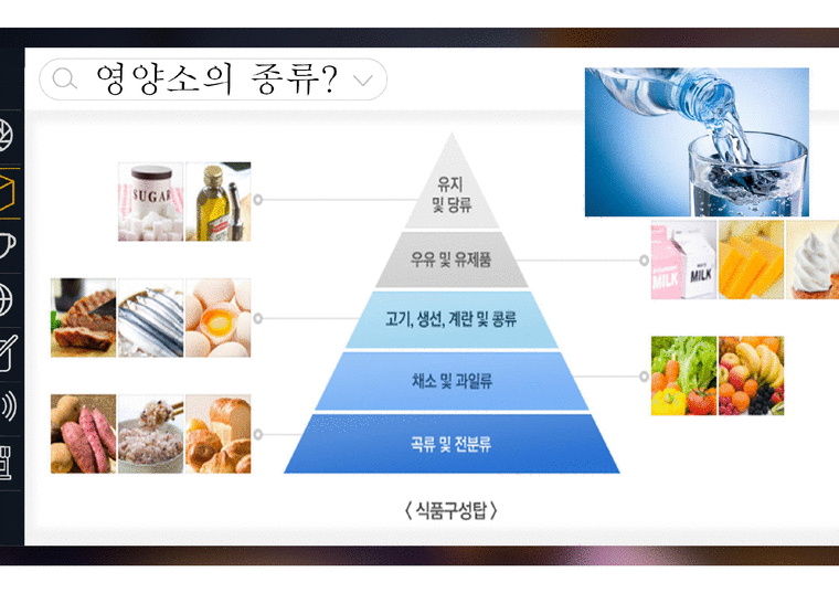 건강과 영양 - 영양소의 종류 - 의약학