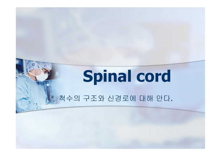 Spinal_cord 척수의 구조와 신경로에 대해 안다-1페이지