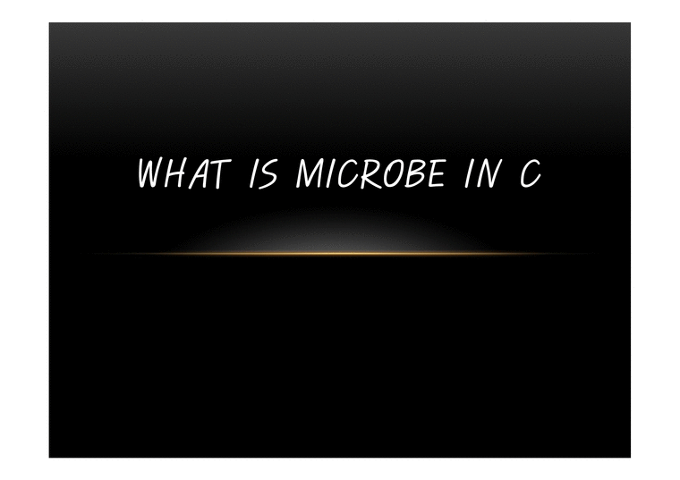 What is micro bein C-1페이지