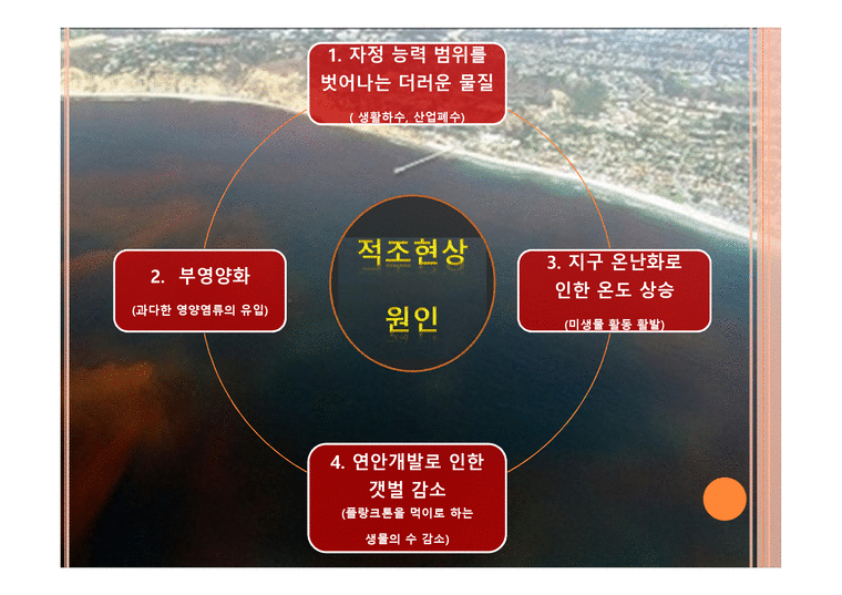 적조현상의 탐구를 통한 기후변화 심각 성인식 - 자연/공학