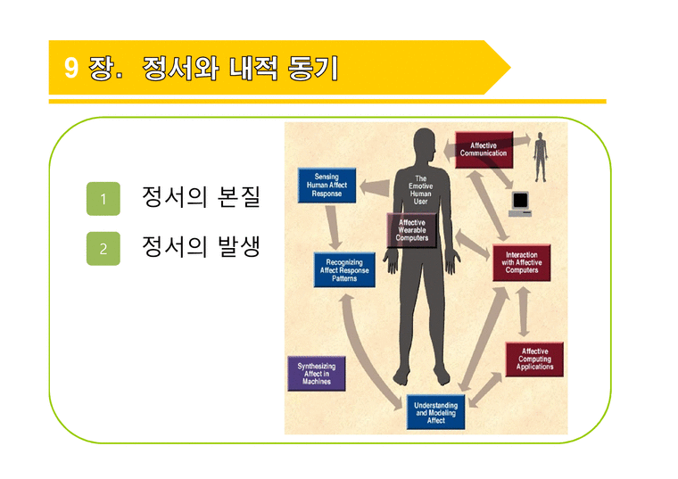 정서와 내적 동기 - 사회과학