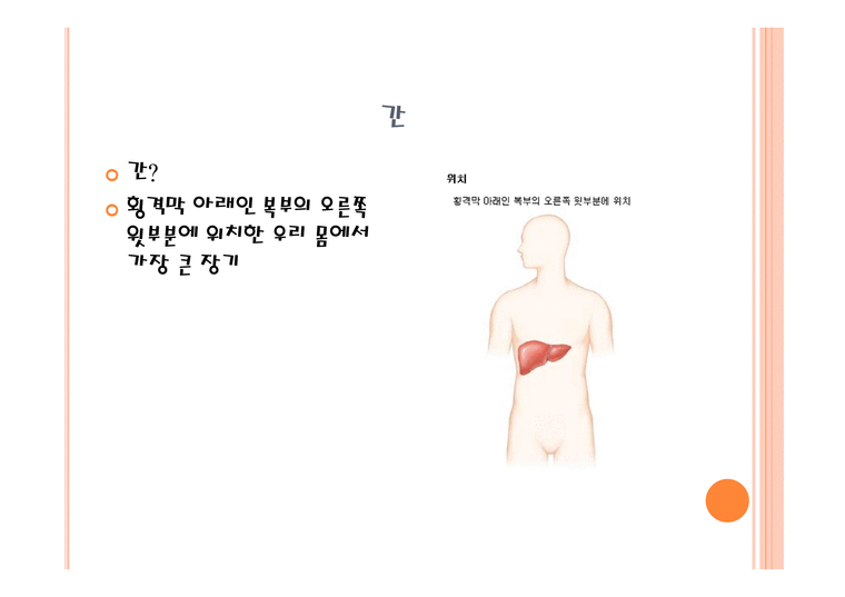 간 담낭 췌장질환-2페이지