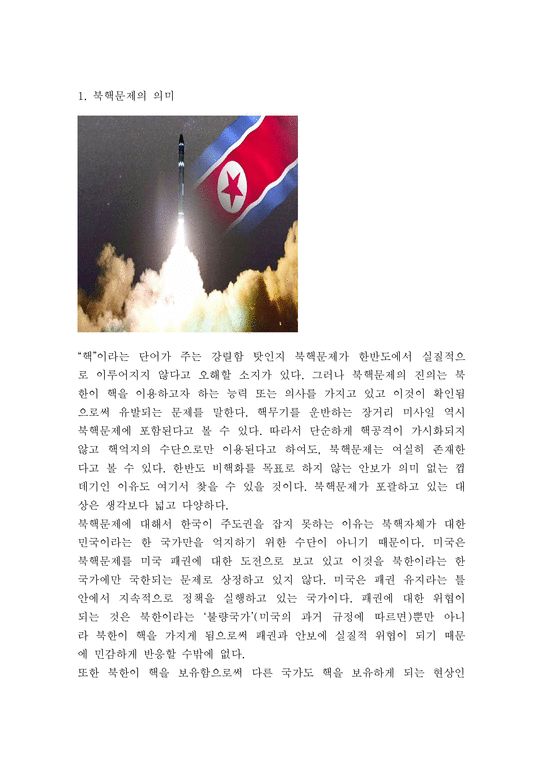 북핵문제 의미 동기 전략 북한핵이 미치는영향과 문제점 및 북핵문제 해결방안제시 및 나의의견정리 - 북핵문제 연구레포트-3페이지