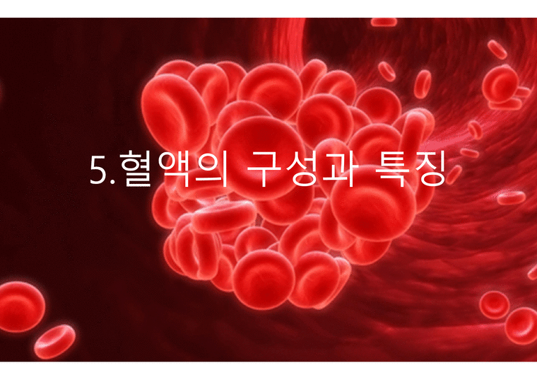 혈액의 구성과 특징 - 혈액의 구성 - 인문/교육