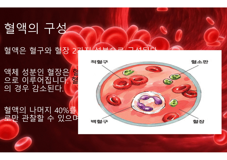 혈액의 구성과 특징 - 혈액의 구성 - 인문/교육