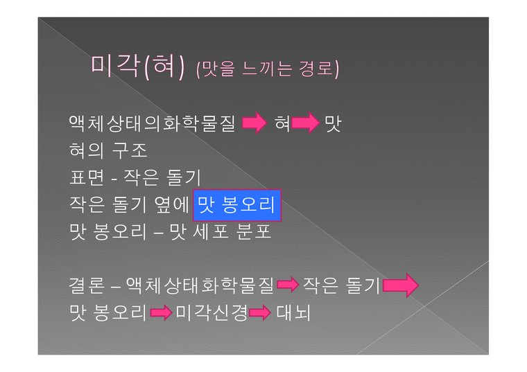 미각과 후각과 피부감각 - 미각 - 인문/교육