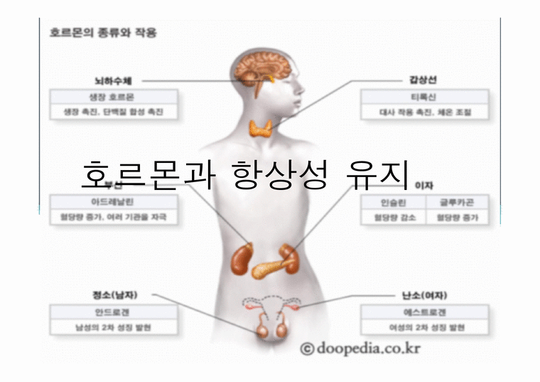 1040818-0001.gif