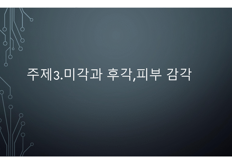 미각과 후각 피부감각 - 미각과 후각 - 인문/교육
