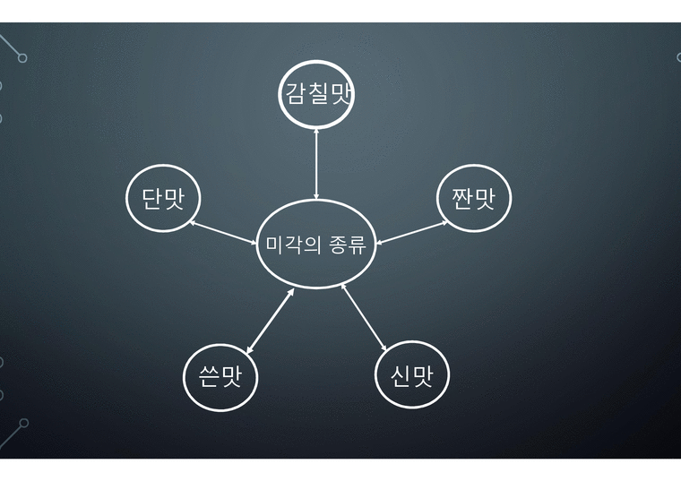 미각과 후각 피부감각 - 미각과 후각 - 인문/교육