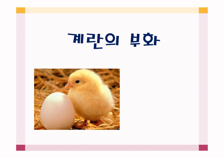 계란의 부화 - 유아교육자료-1페이지