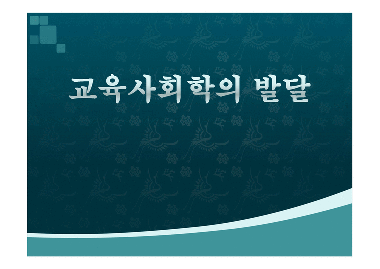 교육사회학의 발달 - 한국 교육 사회학의 전개-1페이지