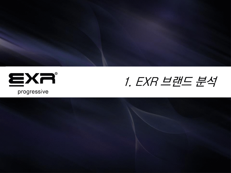 EXR 마케팅 EXR 브랜드전략 EXR 스포츠마케팅 브랜드마케팅 서비스마케팅 글로벌경영 사례분석 swot stp 4p-3페이지