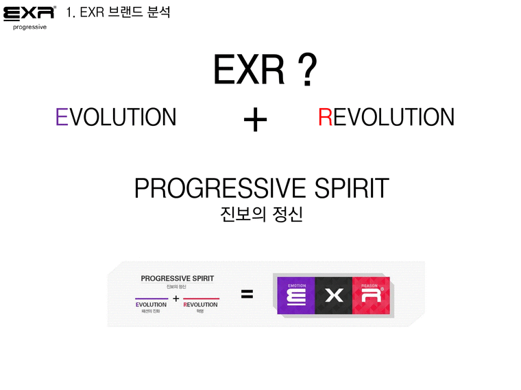 EXR 마케팅 EXR 브랜드전략 EXR 스포츠마케팅 브랜드마케팅 서비스마케팅 글로벌경영 사례분석 swot stp 4p-4페이지