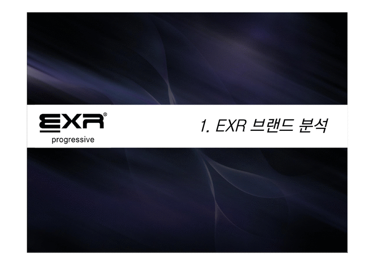 EXR 마케팅 EXR 브랜드분석 EXR시장분석 EXR 브랜드마케팅 EXR 서비스마케팅 글로벌경영 EXR 사례분석 swot stp 4p-3페이지
