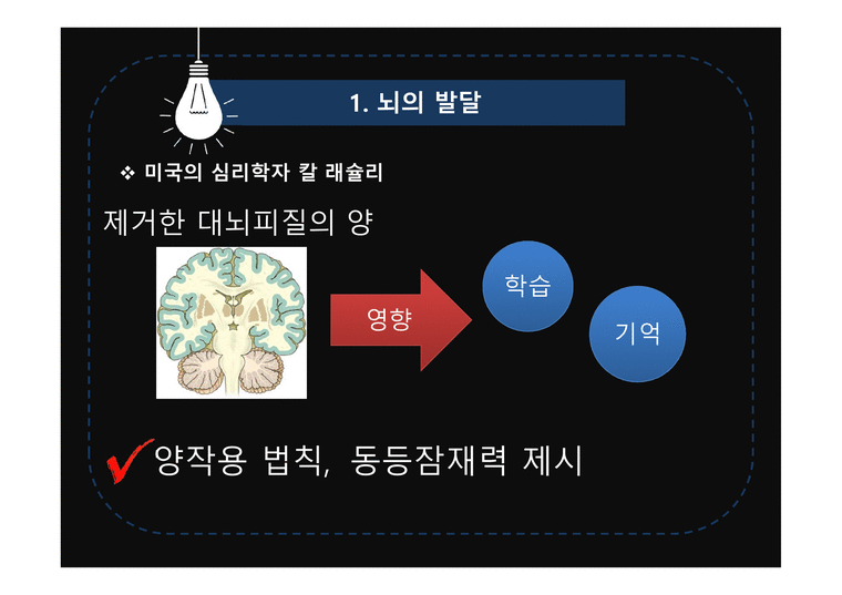 뇌로부터의자유 뇌의발달 인간의뇌 좌뇌와우뇌 현미경으로들여다본인간의뇌 좌뇌우뇌테스트 - 사회과학