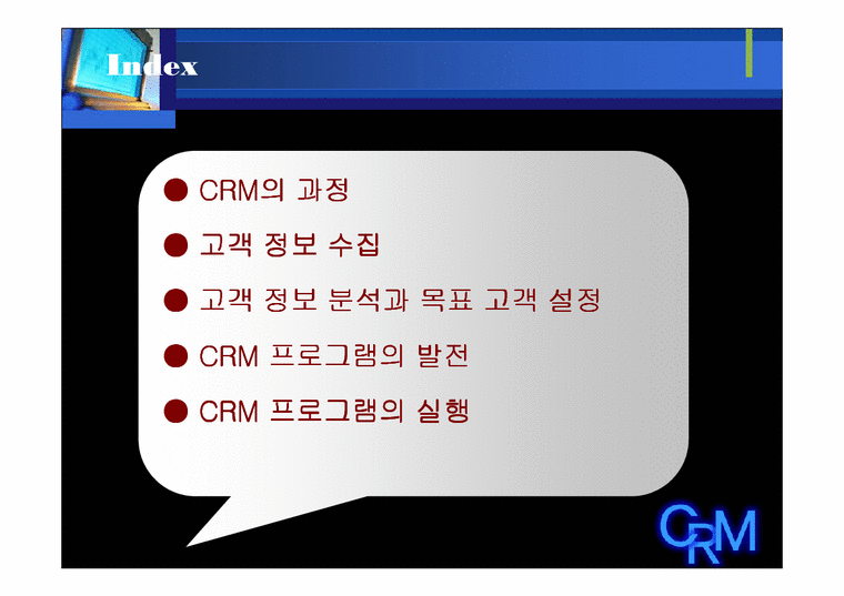 CRM 고객관계관리-2페이지