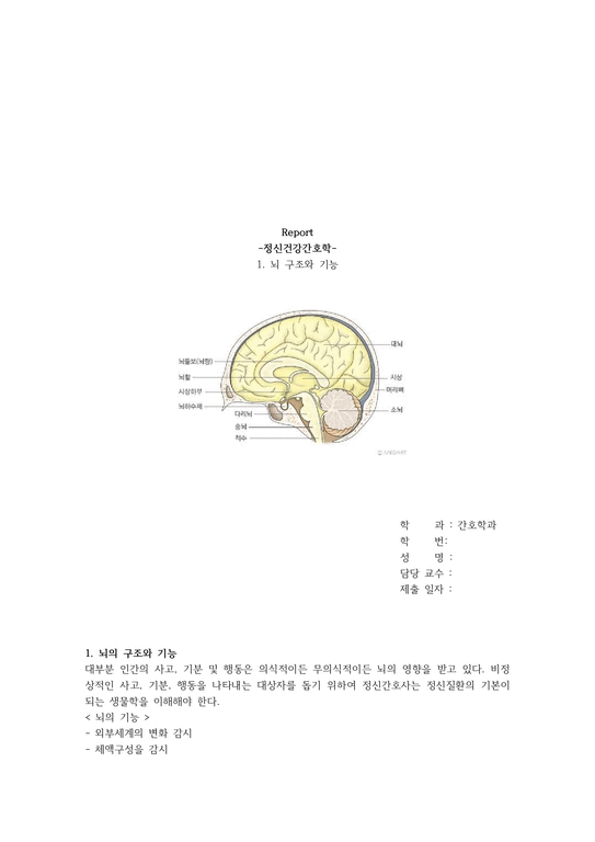 뇌구조와 기능 - 의약학
