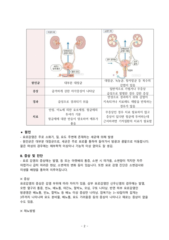 UTI 요로감염 문헌고찰 및 간호과정 CASE STUDY 의약학