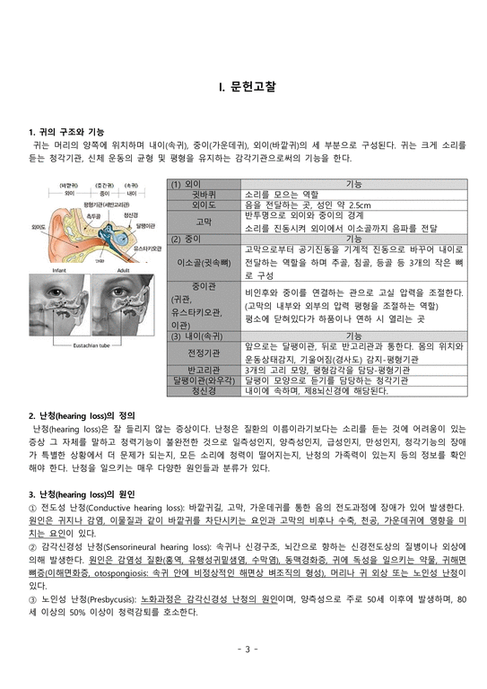 성인간호학 case study+문헌고찰_청각장애-3페이지