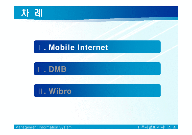 MIS  Mobile Internet(모바일인터넷)  DMB  Wibro(와이브로)-2페이지