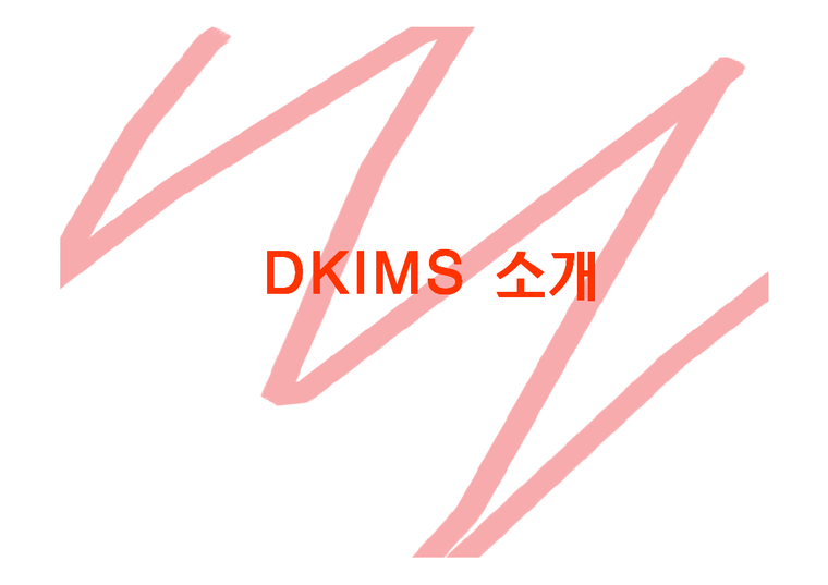 인터넷마케팅  DKIMS 디킴스온라인 사례-3페이지
