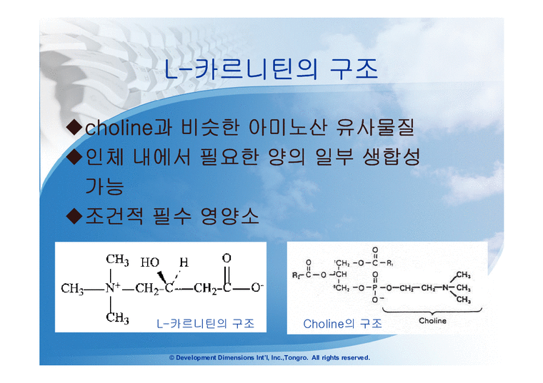acetyl-l-carnitine 효능 다이어트 운동 영양제 카르니틴 효능 논란 진실! : 네이버 블로그