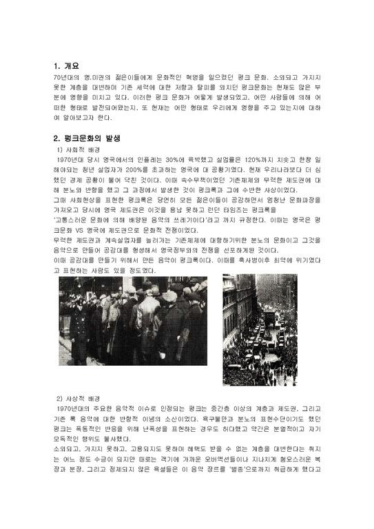 대중문화의 이해  Punk문화의 역사와 가치관-2페이지
