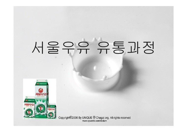 유통론  서울우유 유통과정-1페이지