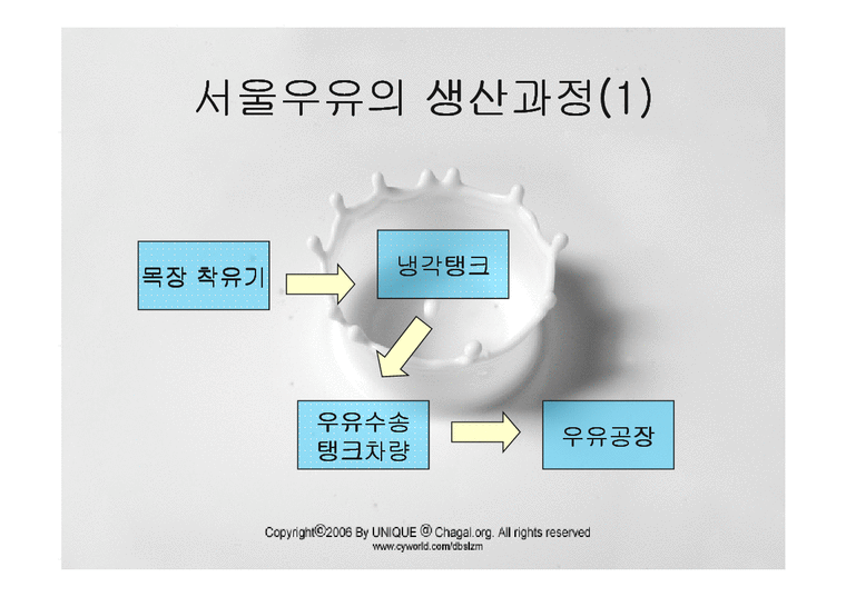 유통론  서울우유 유통과정-4페이지