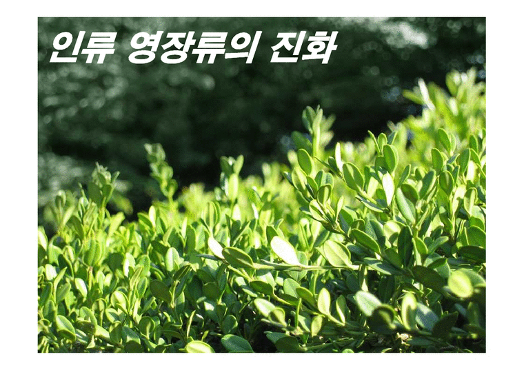 인류 영장류의 진화 - 자연/공학