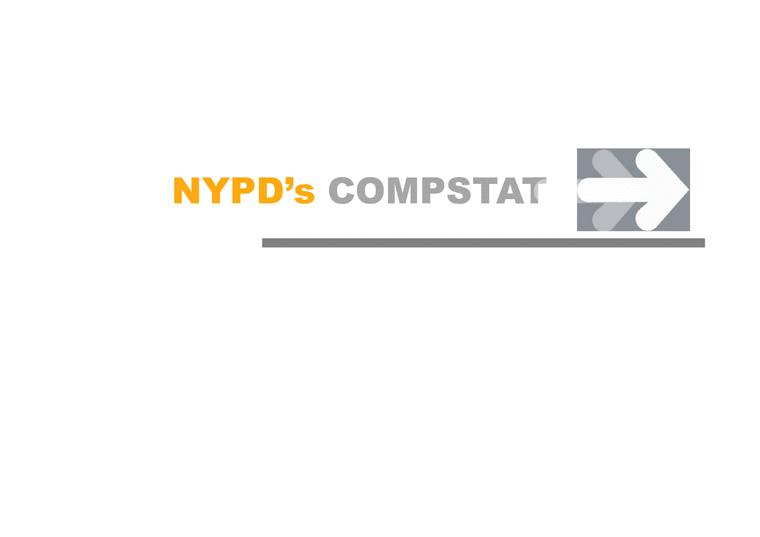 경영정보학  NYPD(NYPD s COMPSTAT)  RENAULT s DSS 사례-3페이지