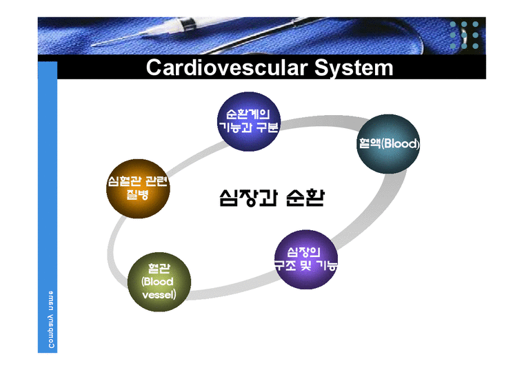 생리학  심장  순환계  순환  운동생리학   생리학 : 심장과 순환-3페이지