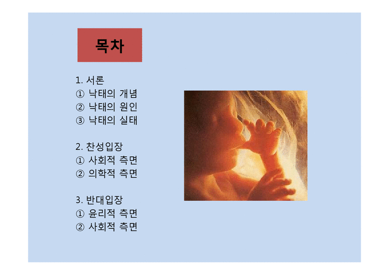인공임신중절(낙태)-2페이지