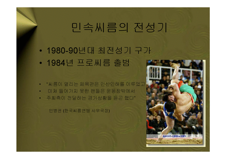 마케팅  민속씨름의 몰락 - 케이스연구발표 - 스포츠마케팅 - 한국 프로 스포츠-2페이지