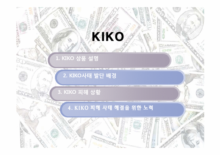 KIKO 키코 발달 배경 피해 및 해결-2페이지
