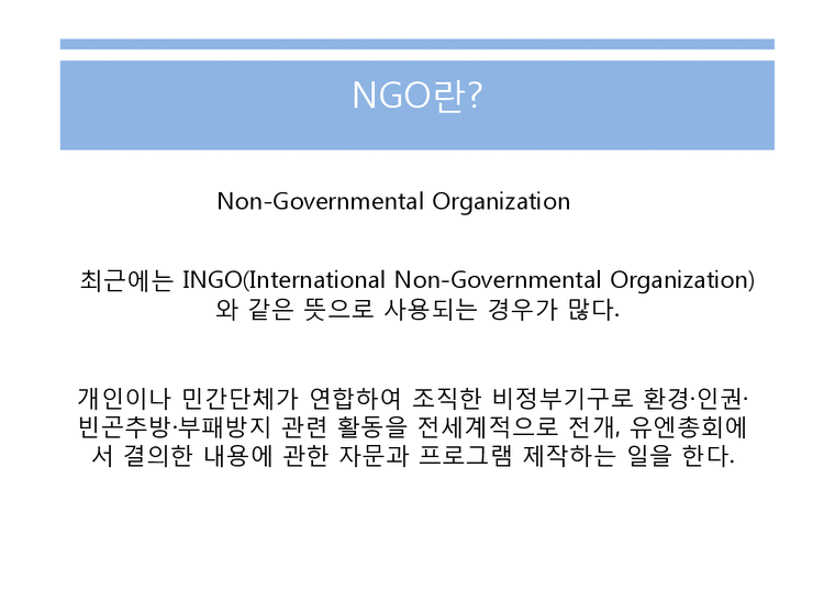 국제커뮤니케이션  인터넷과 NGO-2페이지