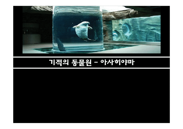 서비스경영론  아사히야마 동물원의 경영론-1페이지