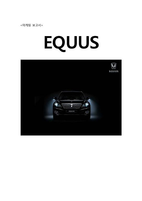 마케팅  현대자동차 에쿠스 EQUUS 2009 마케팅전략-1페이지