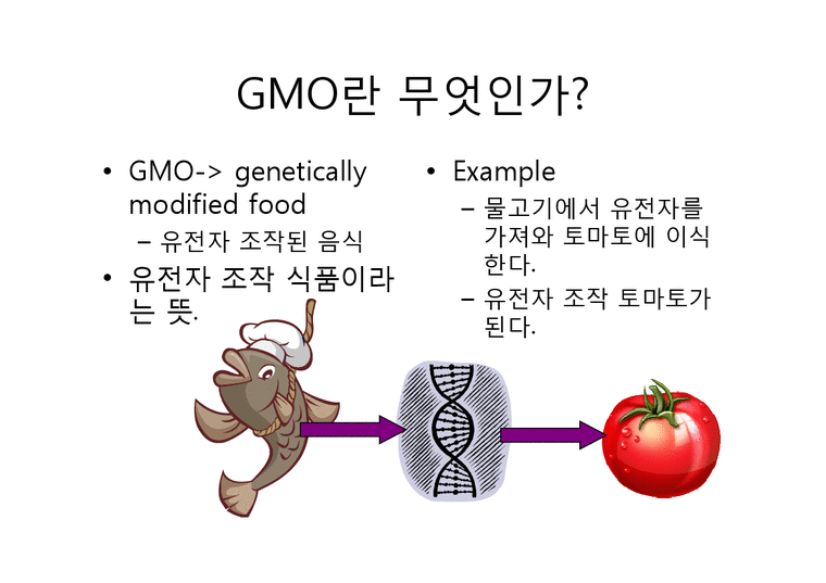 GMO(Genetically Modified Food)에관한 문제점 분석-2페이지