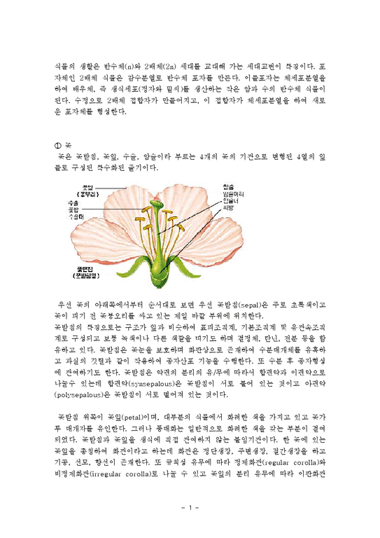 식물형태학  식물 생식기관의 구조와기능-1페이지
