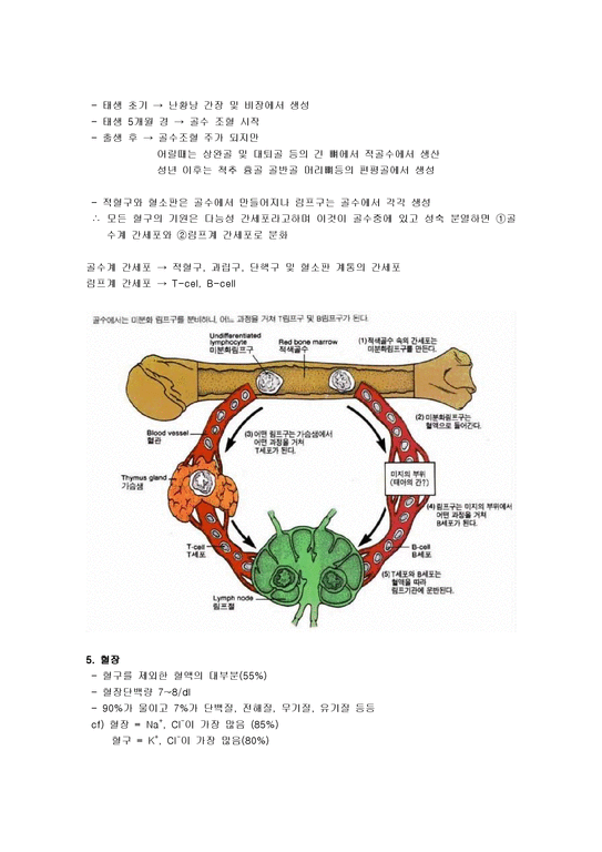 혈액(적혈구 백혈구 혈소판)과 면역 및 혈관 - 의약학