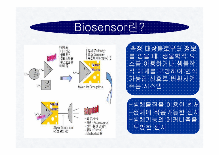바이오센서(BIOSENSOR)의 구성 장단점 종류 응용에 관한 보고서 - 자연/공학