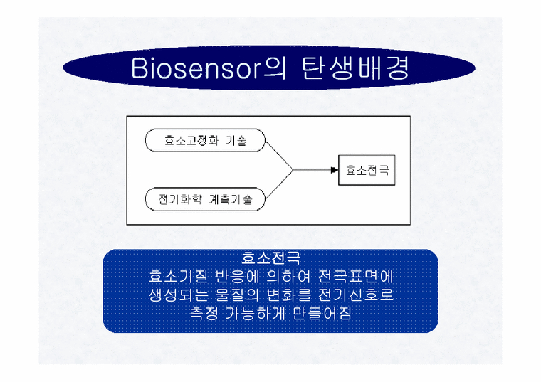 바이오센서(BIOSENSOR)의 구성 장단점 종류 응용에 관한 보고서 - 자연/공학