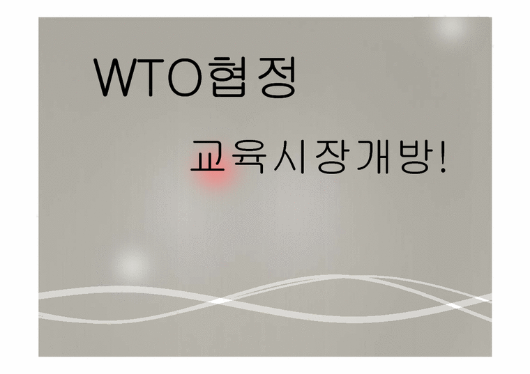 국제통상  WTO협정 교육시장개방-3페이지