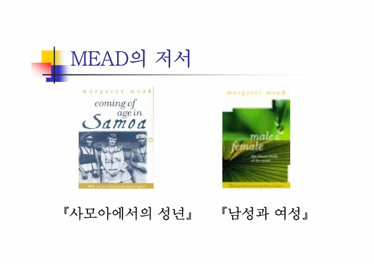 Mead의 문화 인류학과 청년기-3페이지