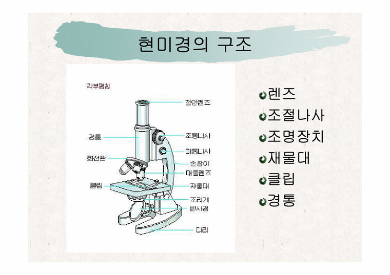 생물학 현미경의 구조와 원리 - 자연/공학