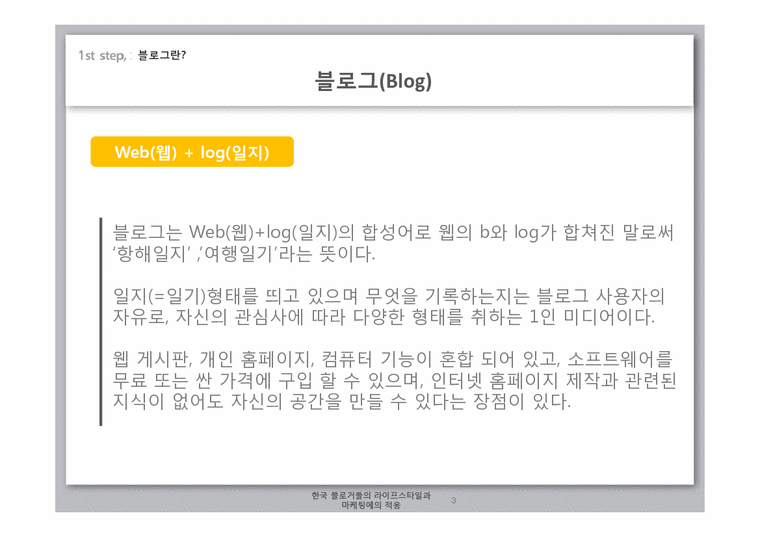 소비자행동론  한국 블로거들의 라이프 스타일과 마케팅에의 적용-3페이지